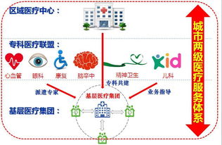 重磅！深圳基層醫(yī)療集團(tuán)長啥樣？來看這張“公共資源交易運(yùn)行技術(shù)服務(wù)”路徑圖